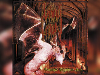 VIKING CROWN 'Banished Rhythmic Hate' - Cover Photo
