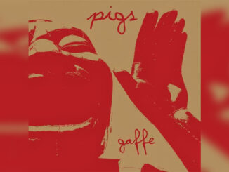 PIGS 'Gaffe' - Cover Photo