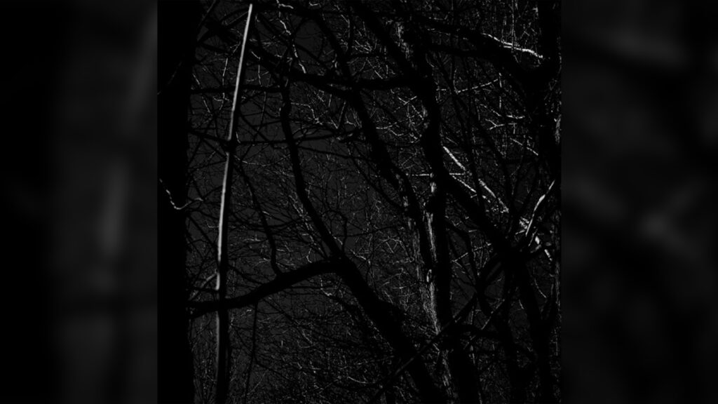 THE OCCULT 'The Occult' - Cover Photo