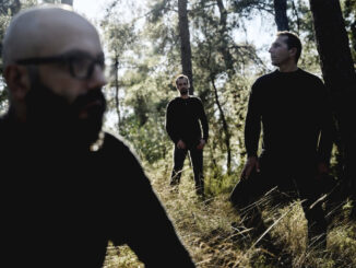 AGNES VEIN Promo Pic - Cover Photo