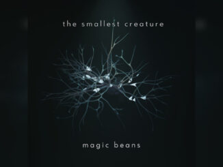 THE SMALLEST CREATURE ‘Magic Beans’ - Cover Photo