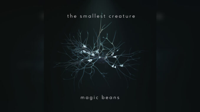 THE SMALLEST CREATURE ‘Magic Beans’ - Cover Photo