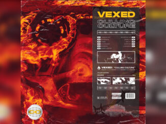VEXED 'Culling Culture' - Cover Photo