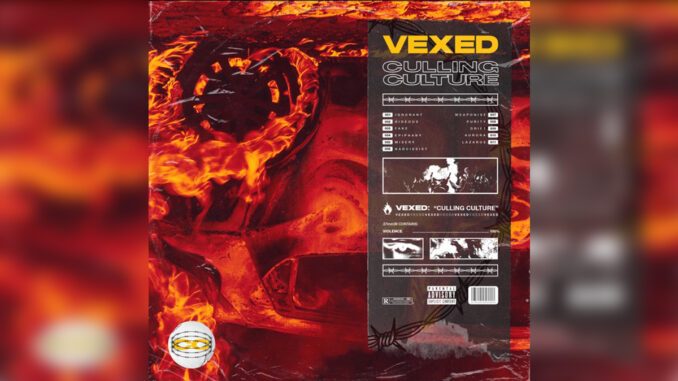 VEXED 'Culling Culture' - Cover Photo