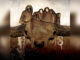 FUCK THE FACTS Desire Will Rot Web Cover Photo