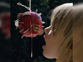 PUCE MARY 'The Drought' - Cover Photo