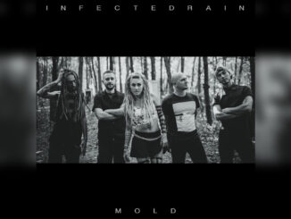 INFECTED RAIN 'Mold - Single' - Cover Photo