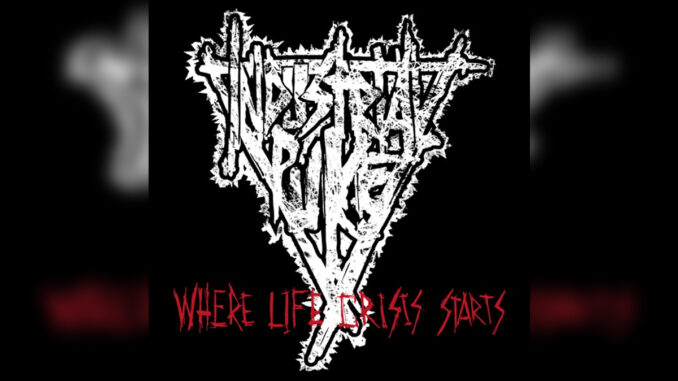 INDUSTRIAL PUKE 'Where Life Crisis Starts - EP' - Cover Photo