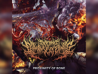 INTERNAL ORGANS EXTERNAL 'Proximity of Bone - Single' - Cover Photo