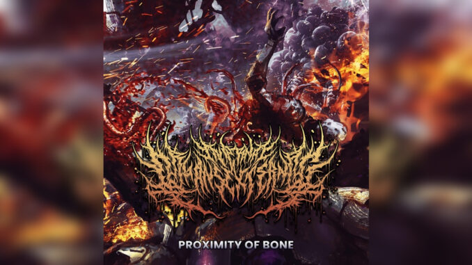 INTERNAL ORGANS EXTERNAL 'Proximity of Bone - Single' - Cover Photo