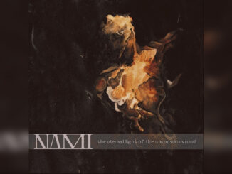 NAMI 'The Eternal Light of the Unconscious Mind' - Cover Photo