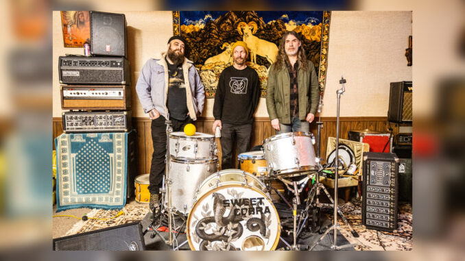 SWEET COBRA Promo Pic - Cover Photo SWEET COBRA Promo Pic - Cover Photo