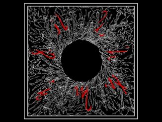CHAOIST (Serbia) Signs With Wormholedeath