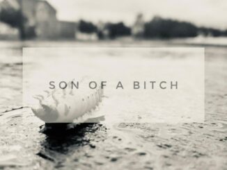 Dying Comes With Age by Ryan Kent Out Now