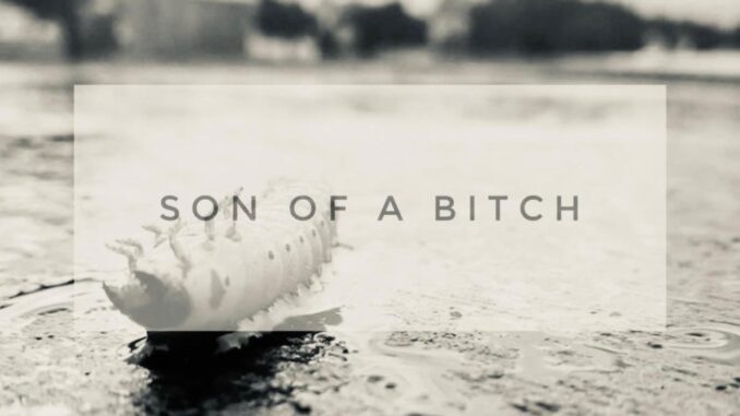 Dying Comes With Age by Ryan Kent Out Now