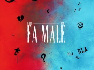 SONO Music announces Fa Male the new Single by DARDO & Ticco