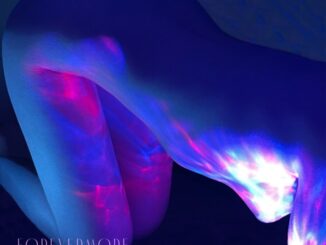 SONO Music announces Forevermore, the new single by Van Elst