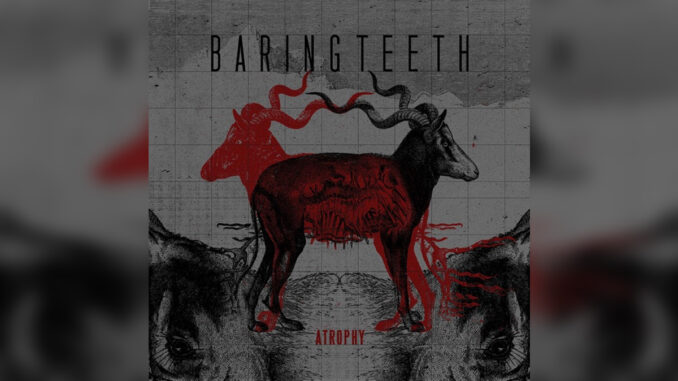 BARING TEETH 'Atrophy' - Cover Photo BARING TEETH 'Atrophy' - Cover Photo
