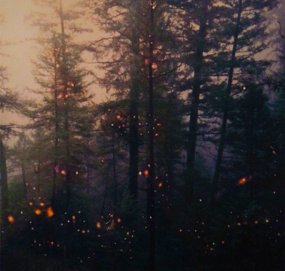 EPK – A Flock Named Murder – Garden of Embers (single) (2022)