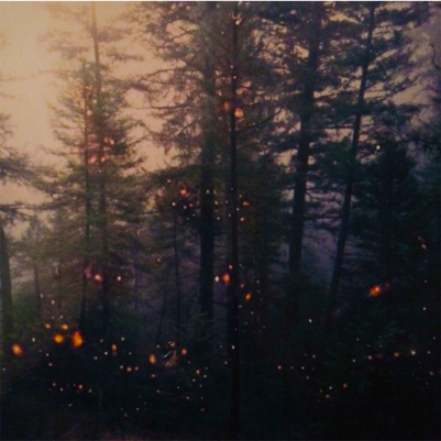 EPK – A Flock Named Murder – Garden of Embers (single) (2022)