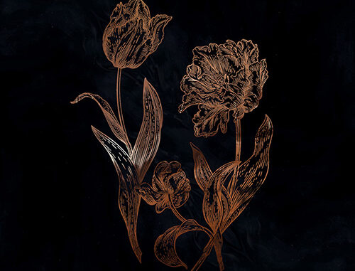 Dvne Releases Live Album “Cycles of Asphodel” on Vinyl Today!