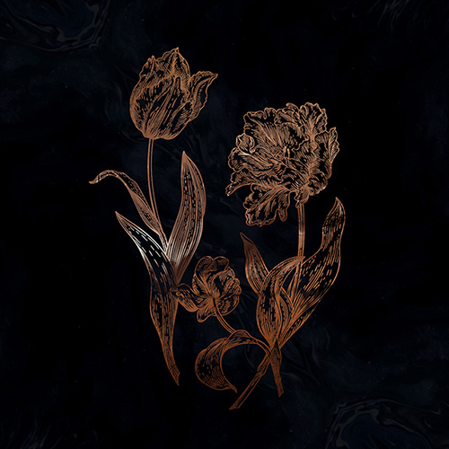 Dvne Releases Live Album “Cycles of Asphodel” on Vinyl Today!