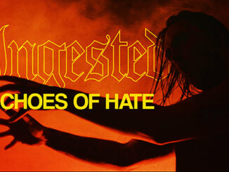 Ingested Share “Echoes of Hate” Video