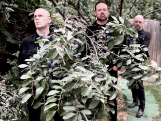 MAJESTIES: Vast Reaches Unclaimed Now Streaming; Debut From Melodic Death Metal Trio Formed By Members Of Obsequiae And Inexorum Out Friday On 20 Buck Spin + Gimme Metal Show Confirmed