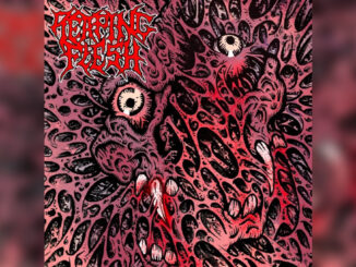 REAPING FLESH 'Elements of Life - Single' - Cover Photo