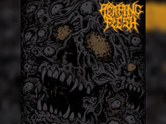 REAPING FLESH 'Self Incarnation - Single' - Cover Photo