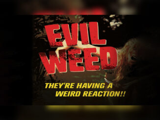 EVIL WEED - Cover Photo
