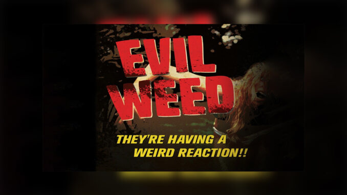 EVIL WEED - Cover Photo