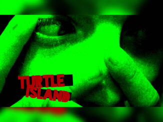 TURTLE ISLAND (2013) - Cover Photo
