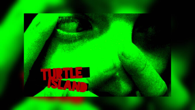 TURTLE ISLAND (2013) - Cover Photo