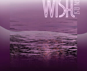 Discover the Healing Power of Music with VAN ELST’s New Single “WISH” on SONO Music