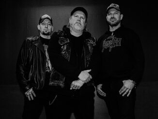 Introducing… Asinhell