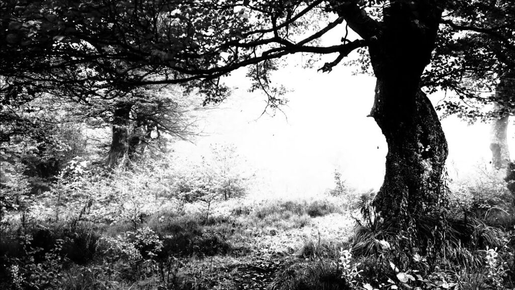 Japanese Black Metal Discovery Deathroll Presents “The Grey Life” (Official Lyric Video)
