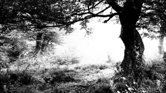 Japanese Black Metal Discovery Deathroll Presents “The Grey Life” (Official Lyric Video)