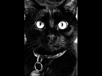 EPK – Human Missile Crisis – Liquor Store Stories (2023)