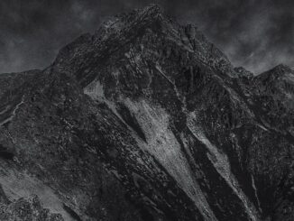 Whalesong Drops The Sonically-Cinematic New Album, 'Leaving A Dream'
