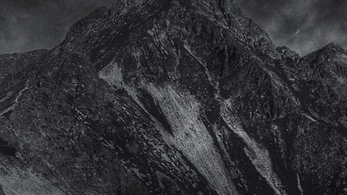 Whalesong Drops The Sonically-Cinematic New Album, 'Leaving A Dream'