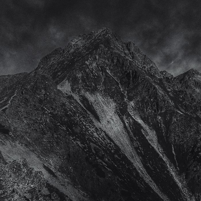 Whalesong Drops The Sonically-Cinematic New Album, 'Leaving A Dream'