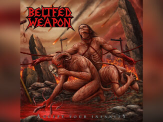 BELTFED WEAPON 'Accept Your Insanity' - Cover Photo