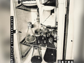 INTERNATIONAL FURLOUGH 'Haven - Single' - Cover Photo