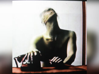 STATIC DRESS 'Rouge Carpet Disaster (Redux)' - Cover Photo