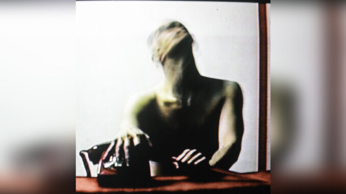 STATIC DRESS 'Rouge Carpet Disaster (Redux)' - Cover Photo