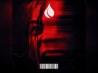 AS WE STRAY 'Bring Me To Life - Single' - COVER PHOTO