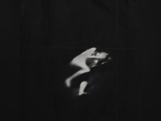 DISPOSTIONS 'Lower Angels - Single' - COVER PHOTO