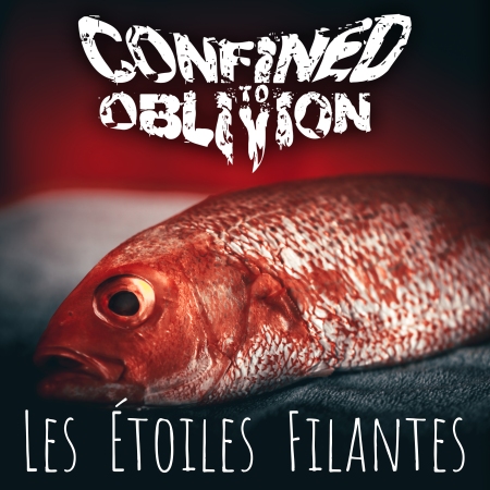 EPK – Confined To Oblivion – âLes Ãtoiles Filantesâ (Les Cowboys Fringants) (cover single) (2024)