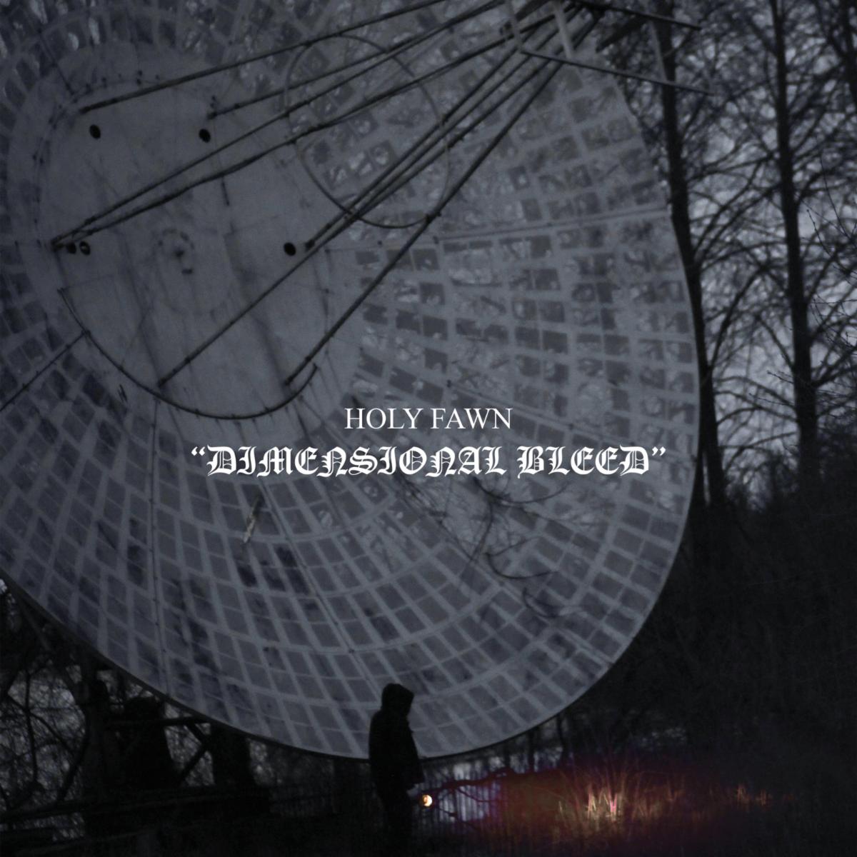 Holy Fawn Dimensional Bleed album cover